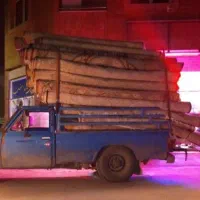 قالیشویی قالی شویی  اعلاحضرت  تخفیف پاییزه اعلاشور|خدمات نظافت|قم, نیروگاه|دیوار