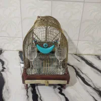 قفس دستبافت