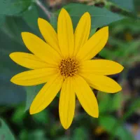 باسلام زمین فروشی