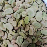 باقالی باقالی