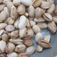 سلام بهترین بزر پسته بذر زرندی