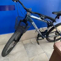 دوچرخه اورلرد