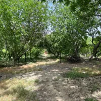 باغ ۶۰۰ هزار متری فیروز بهرام|فروش زمین و ملک کلنگی|چهاردانگه (تهران), |دیوار