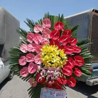 گلکده ارکیده|حراج|اصفهان, مرداویج|دیوار