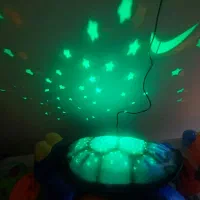 تعدادی اسباب بازی|اسباب‌بازی بچه|رشت, یخسازی|دیوار