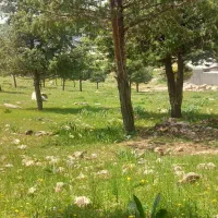 خانه-ویلایی