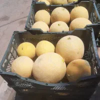 کارگرساده میوه فروشی روزکار۳ظهرتا ۱۲شب