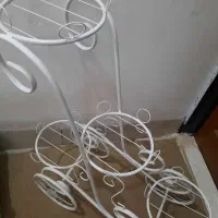 جاگلدونی کالسکه