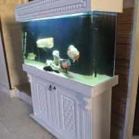 آکواریوم 1 متری با کمد و لوازم و ماهی در حد نو|ماهی|رباطکریم, رباطکریم|دیوار