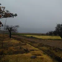 زمین کشاوری ۳۵ هکتار|فروش دفتر صنعتی، کشاورزی، تجاری|دهج, |دیوار