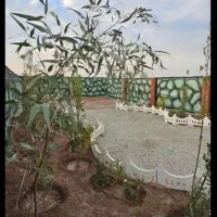 باغچه 182متری چار دیواری در مجموعه