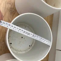 گلدان مهرنی|گل و گیاه طبیعی|بجنورد, |دیوار