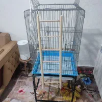 قفس ۱۰۳۳سنگین