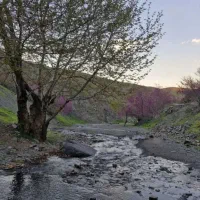 دره ارغوان جمعه 11 اردیبهشت