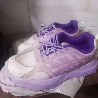 کتونی|کیف، کفش، کمربند|فردیس, ثابتی|دیوار