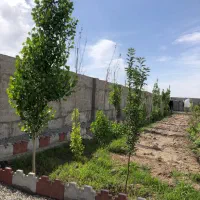 زمین-2500-متری-خیراباد