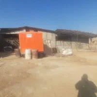 اجاره سوله در کامیون داران|اجارهٔ دفتر صنعتی، کشاورزی، تجاری|بومهن, |دیوار