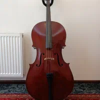 ویلنسل چینی