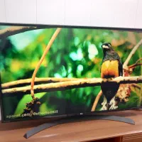 ال ای دی ۴۹اینج الجی فورکی اسمارت هوشمند|تلویزیون و پروژکتور|سنندج, |دیوار