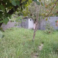 فروش-زمین-دوردیوار-کشیده