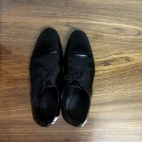 کفش مجلسی ال سی من سایز 43