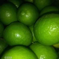 لیمو تازه ،نارنج آبدار