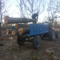 چوبباغیشماراخریدارمبهقیمتبالا|خدمات باغبانی و درختکاری|بجنورد, |دیوار