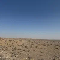 راننده بیل مکانیکی