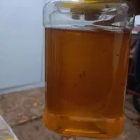 عسل کنار درختی