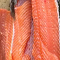 پخش عمده  قزل الا و سالمون