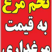 تخم مرغ تازه کارتنی بدون شکستگی