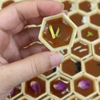 حلوا،کاچی،شله زرد|خوردنی و آشامیدنی|قم, شهرک طالقانی|دیوار