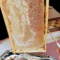 عسل طبیعی کردستان