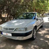 زانتیا سفید 88 بی رنگ