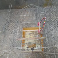 قفس بزرگ|لوازم جانبی حیوانات|بروجرد, |دیوار