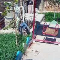 باغ دور دیوار|فروش خانه و ویلا|مشهد, تبادکان|دیوار