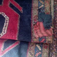 فرش دستباف|فرش|ثمرین, |دیوار