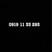 0919.11.33.293