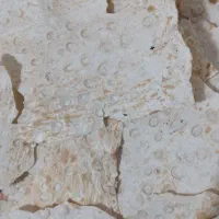 فروش نان خشک دامی بدون هیچ گونه کپک زدگی