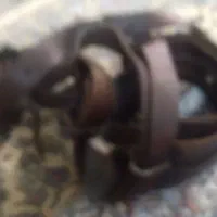 هیکلی علامت کشی