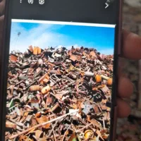 ضایعات شما را به قیمت بالا خریدارم