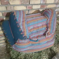 پالون الاغی