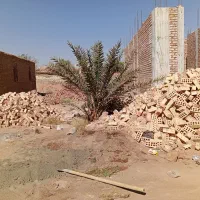 قطعه زمین فروشی|فروش زمین و ملک کلنگی|زرند, |دیوار