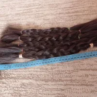 مو فروش|آرایشی، بهداشتی، درمانی|یاسوج, |دیوار