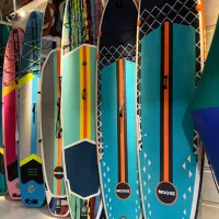 پدل برد بادی