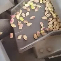 خدمات شکست پسته به صورت اجرتی