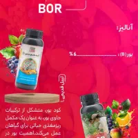 تسهیلات ویژه کشاورزان|خدمات مالی، حسابداری، بیمه|بندر ماهشهر, |دیوار