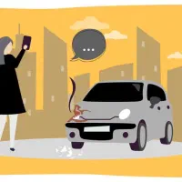 صدور انواع بیمه نامه به صورت نقد و اقساط