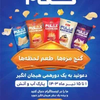 نیاز به راننده با ماشین