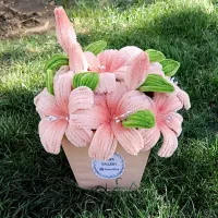 گل باکسی گل‌بهی